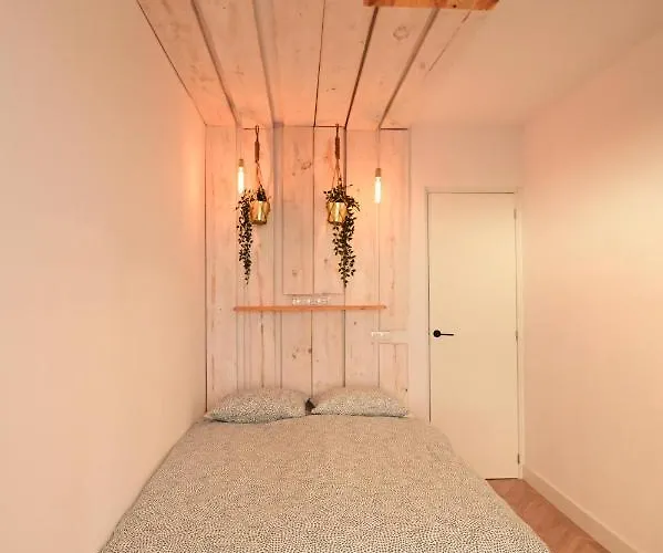 The View Will Convince You! *